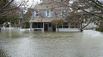 Life After Sandy - Jed and Chris Laird image