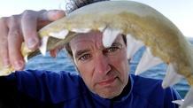 Video thumbnail: Operation Maneater Great White Shark