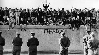 The Wall: A World Divided - Preview image