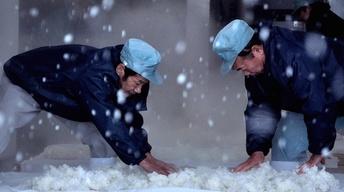 S29 Ep6: The Birth of Sake: Trailer