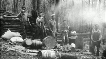 Kentucky Stills image