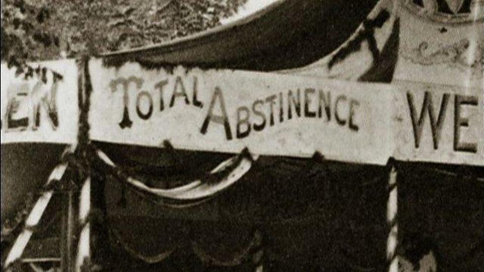 Roots of PROHIBITION Absolute Shall image