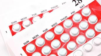 Contraception Mandate; Story of the Jews; Women's Purim