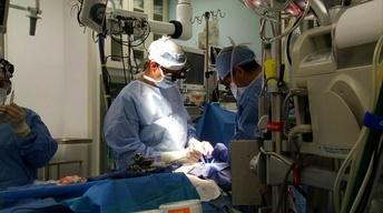 Bloodless Surgery; Poet Christian Wiman; Shavuot