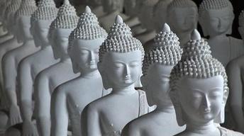 Buddha Garden