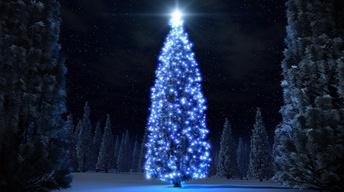 Blue Christmas