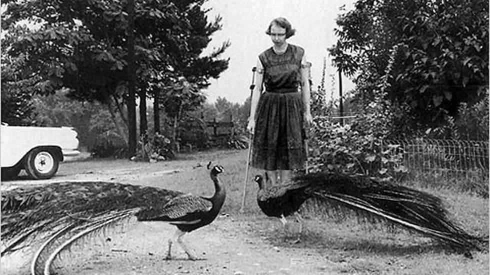 Flannery O'Connor image