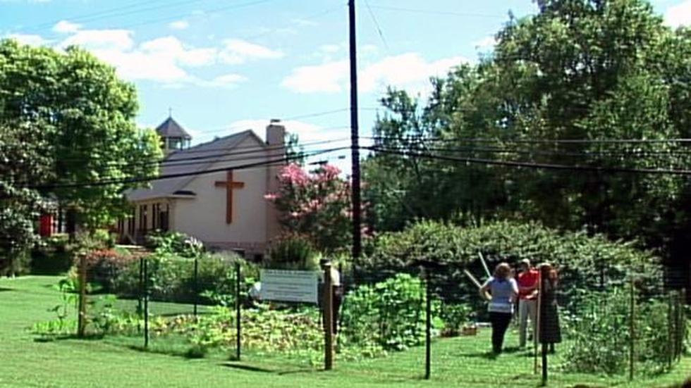 Church Garden image