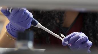 Ethics of Gene Editing; Supreme Court and Affirmative Action