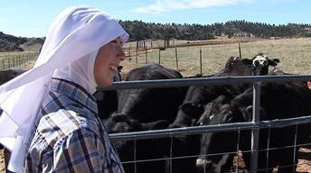 Healing Moral Wounds of War; Rancher Nuns; Baha'i Fast