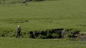 Amish Grace