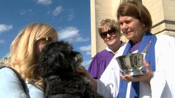 Blessing of the Animals