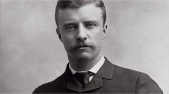 Theodore Roosevelt: Political Beginnings
