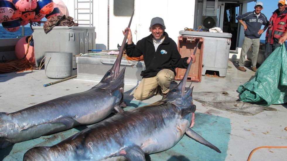 Swordfish! Part 1 image