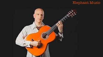 Dave Sulzer: Elephant Music image