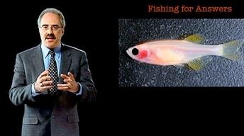 Len Zon: Fishing for Answers image