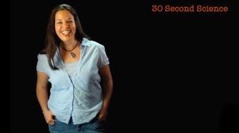 Alexandrea Bowman: 30 Second Science image
