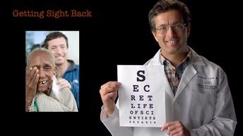 Geoff Tabin: Getting Sight Back image