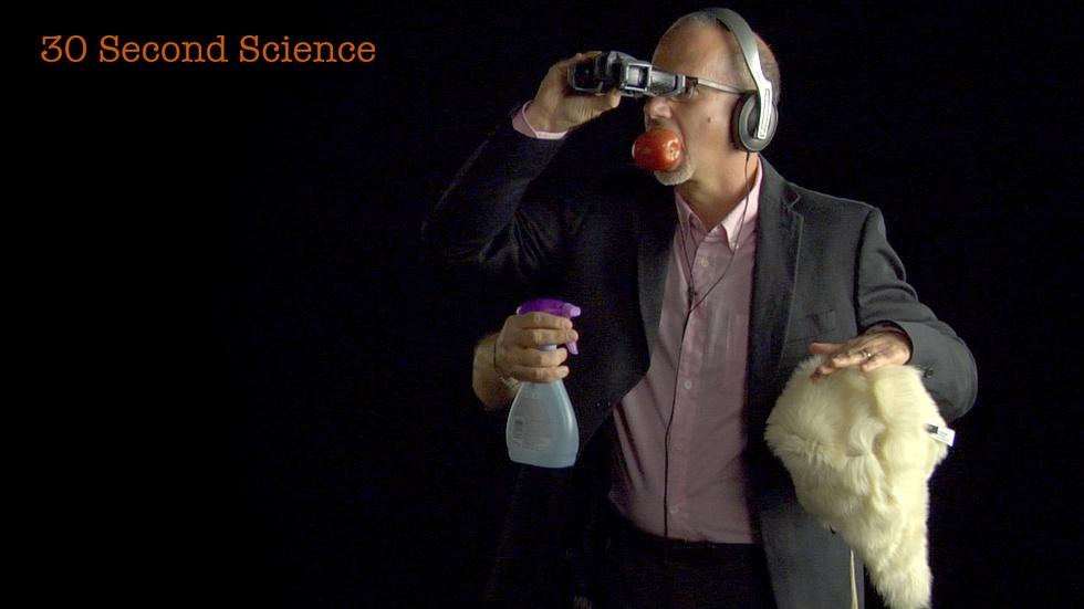 S2013 Ep5: 30 Second Science: Larry Rosenblum image