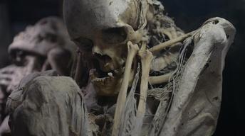 S13 Ep3: Carthage's Lost Warriors