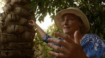 S13 Ep4: Archimedes' Screw & The Date Tree of Babylon