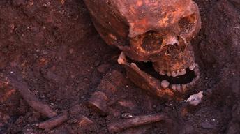 S13 Ep6: Resurrecting Richard III Preview