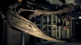 Which giant animal was the apex predator?
