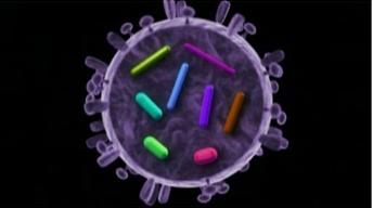 S4 Ep2: Killer Flu
