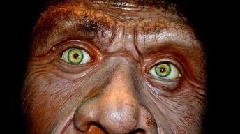 S12 Ep4: Caveman Cold Case
