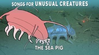 A Song for the Sea Pig with The Kronos Quartet image