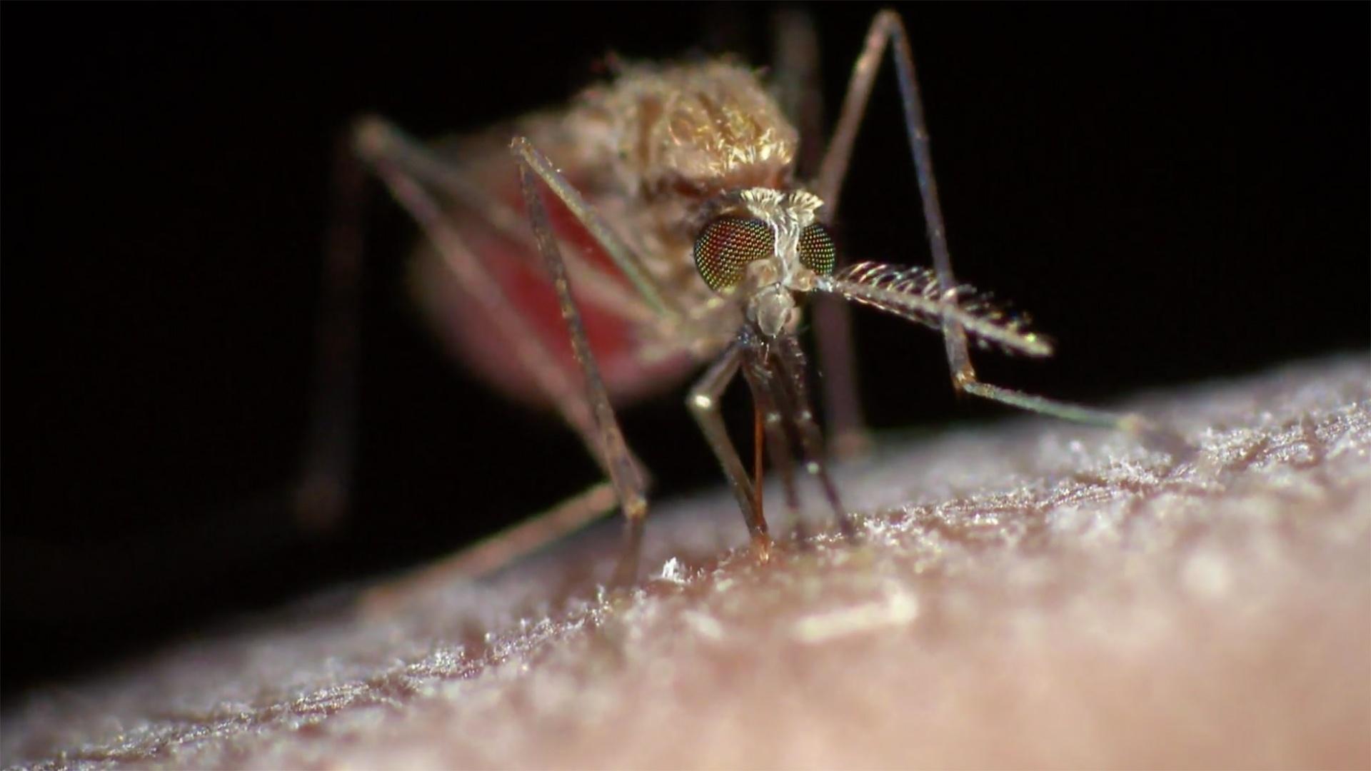 Zika, Ebola & Beyond