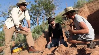 The Bones of Badger Hole