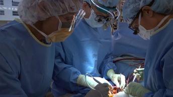 High Quality Care at Low Cost