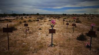 Los Feminicidios image