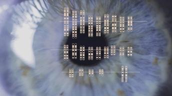 Finding the Origins of Human Color Vision image