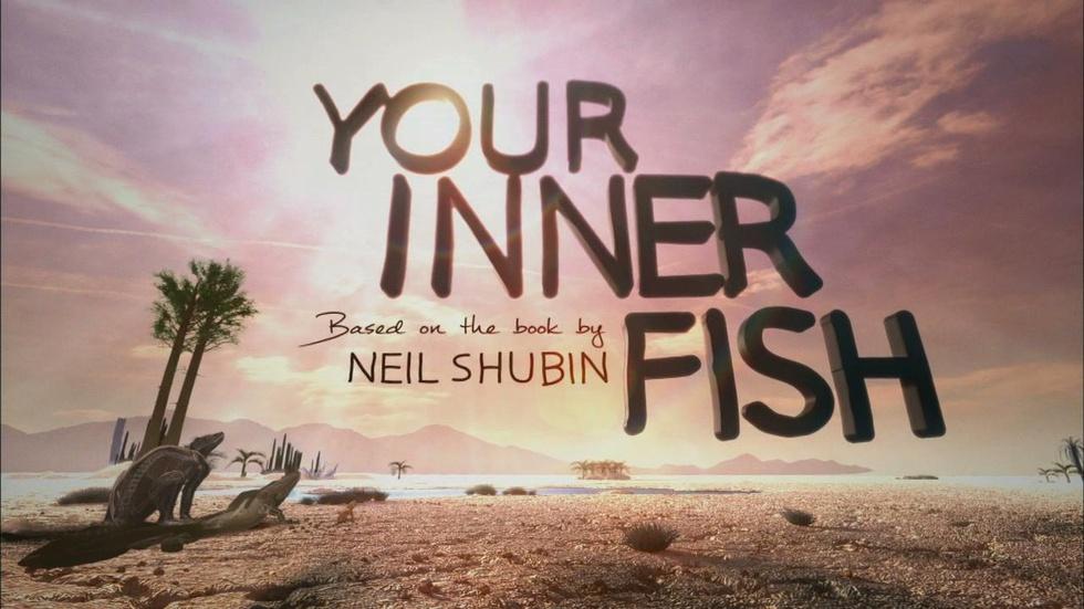 Your Inner Fish: Series Promo image