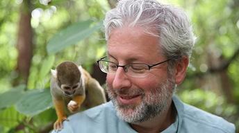 Your Inner Monkey