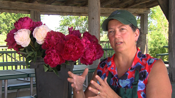 3005:Flowers & Farms