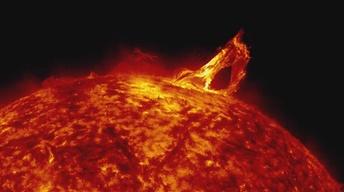 The Sun: Magnetic Fields