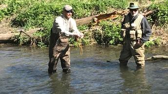 Fishing with a Fly