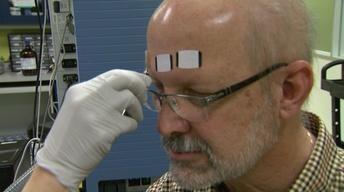 Metabolomics