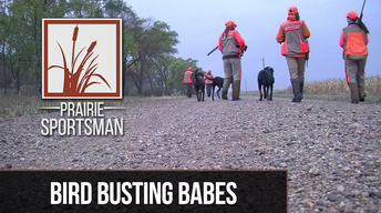 S9 Ep2: Bird Busting Babes