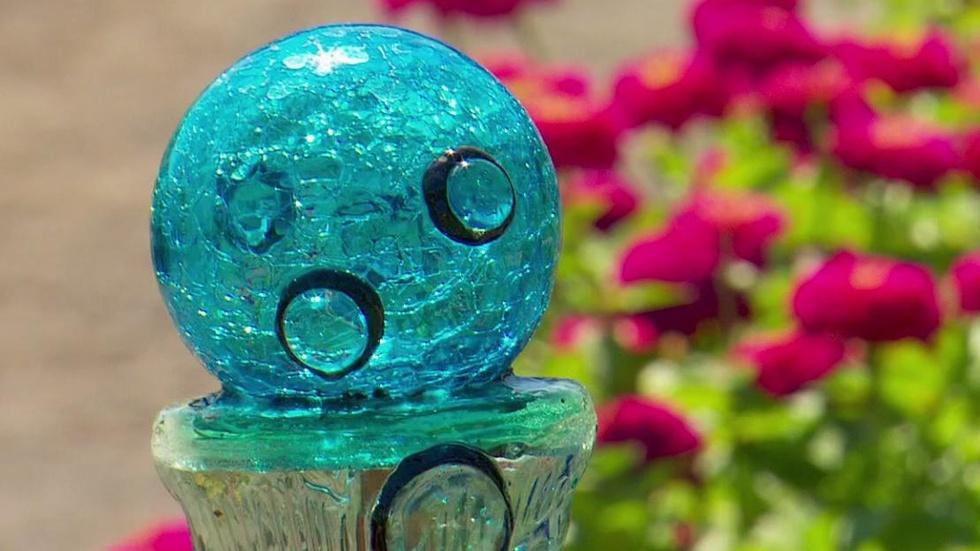 Art Beat Captures Totality Over The Oregon Garden image