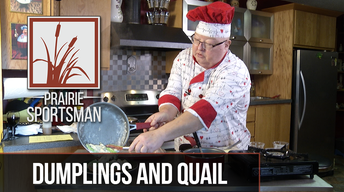 Dumplings and Quail