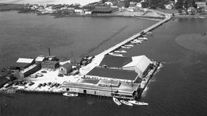 Til-Made, Remembering the Tilghman Packing Company
