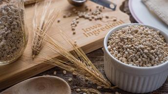 Barley