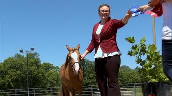 Caring for Horses and Farm Machinery Show!