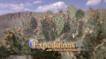 Promo: Expeditions with Patrick McMillan