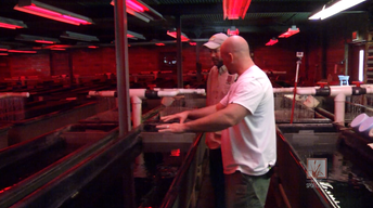 Fish Hatchery