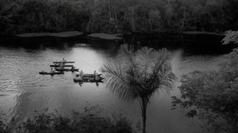 S30: Into the Amazon: Trailer